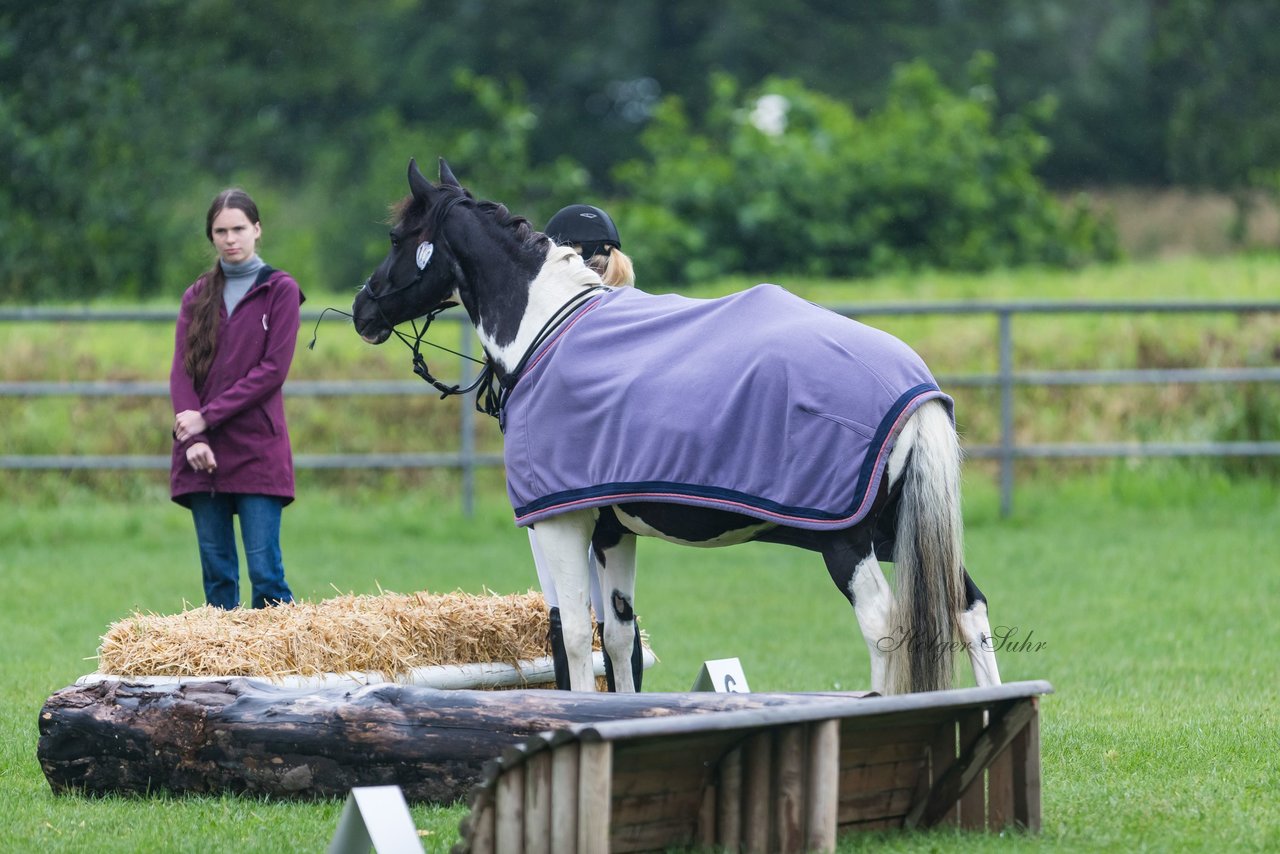 Bild 6 - Pony Akademie Turnier